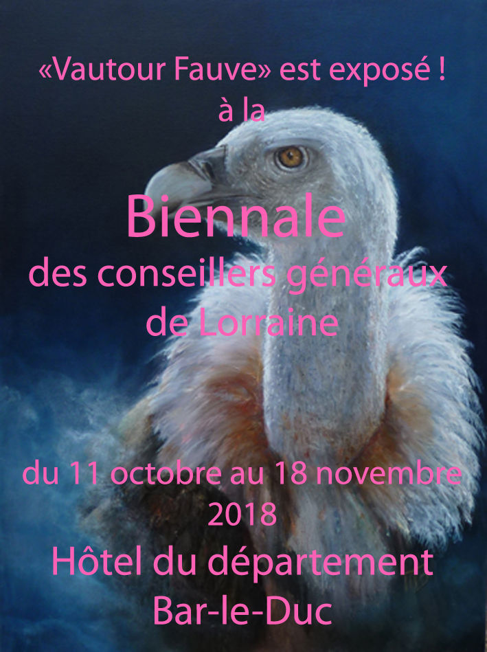 vautour-fauve-affiche-perso-biennale.jpg